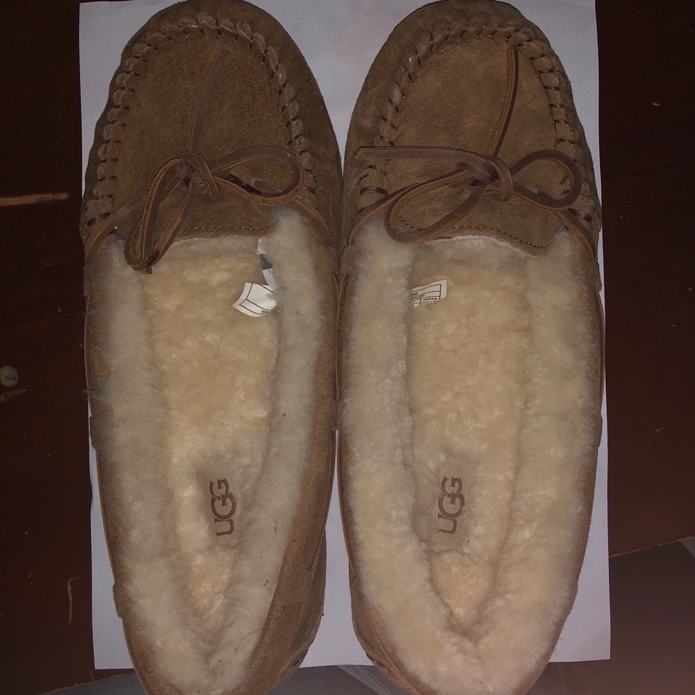 UGG Dakota Slipper In Chesnut